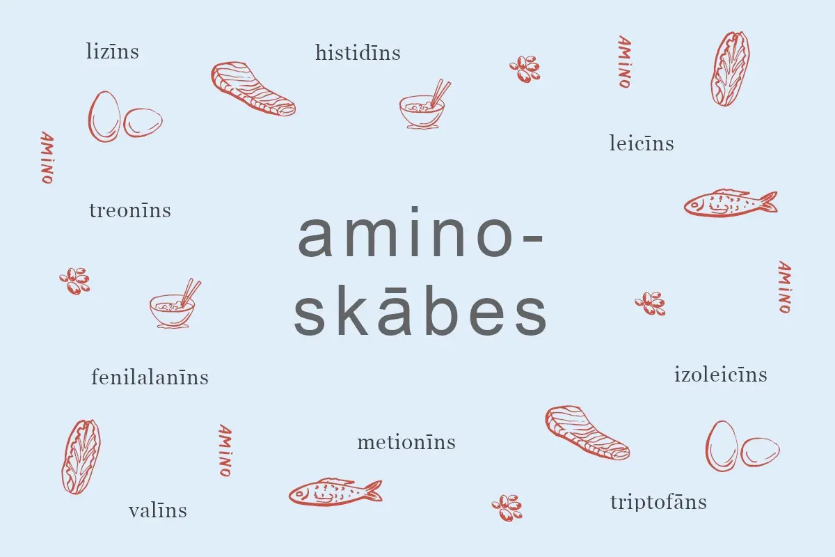 Kas ir aminoskābes?