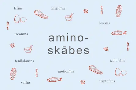 Kas ir aminoskābes?