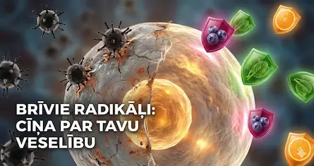 Brīvie radikāļi: ietekme uz veselību un kā ar tiem cīnīties