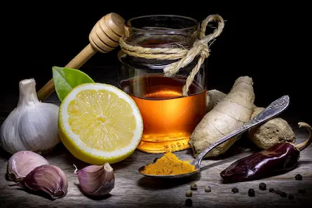 Kādas ir dabīgās antibiotikas?